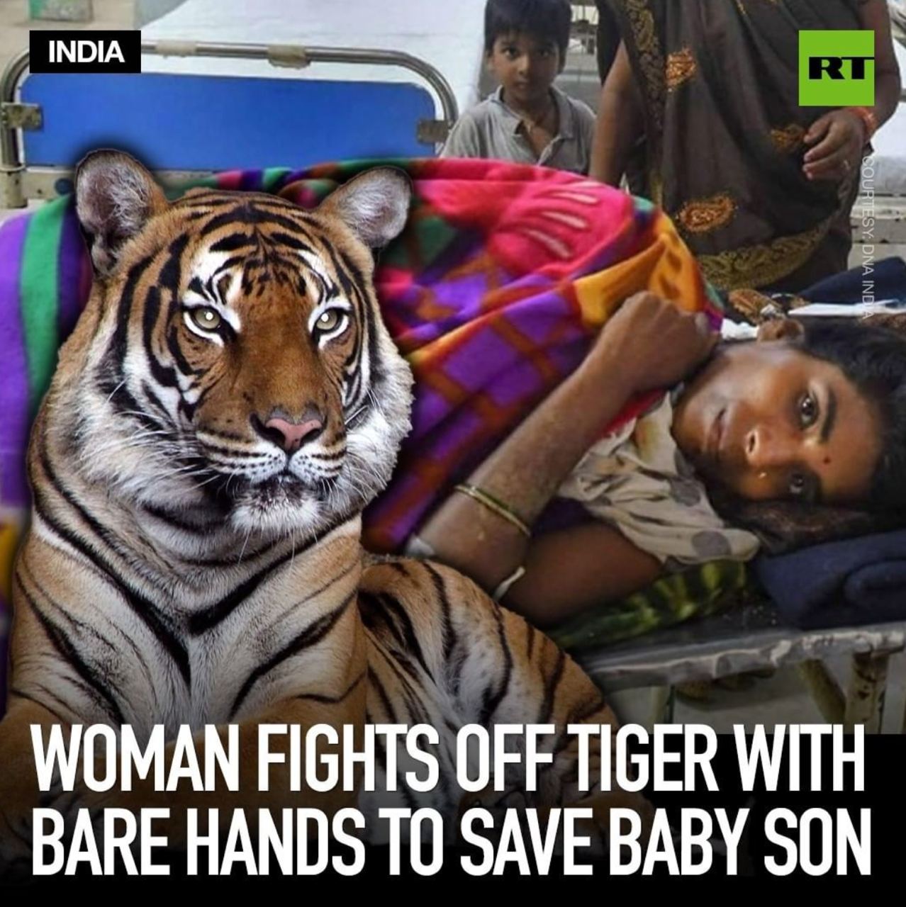 Woman Fights Off Tiger With Bare Hands To Save Baby Son