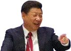 xi pointing at the screen