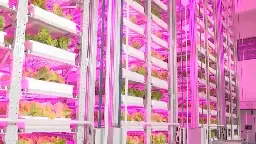 China builds world's first 20-story robotic vertical farm