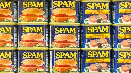 Spam donates 5 truckloads of beloved canned meat in response to Maui fire | CNN Business