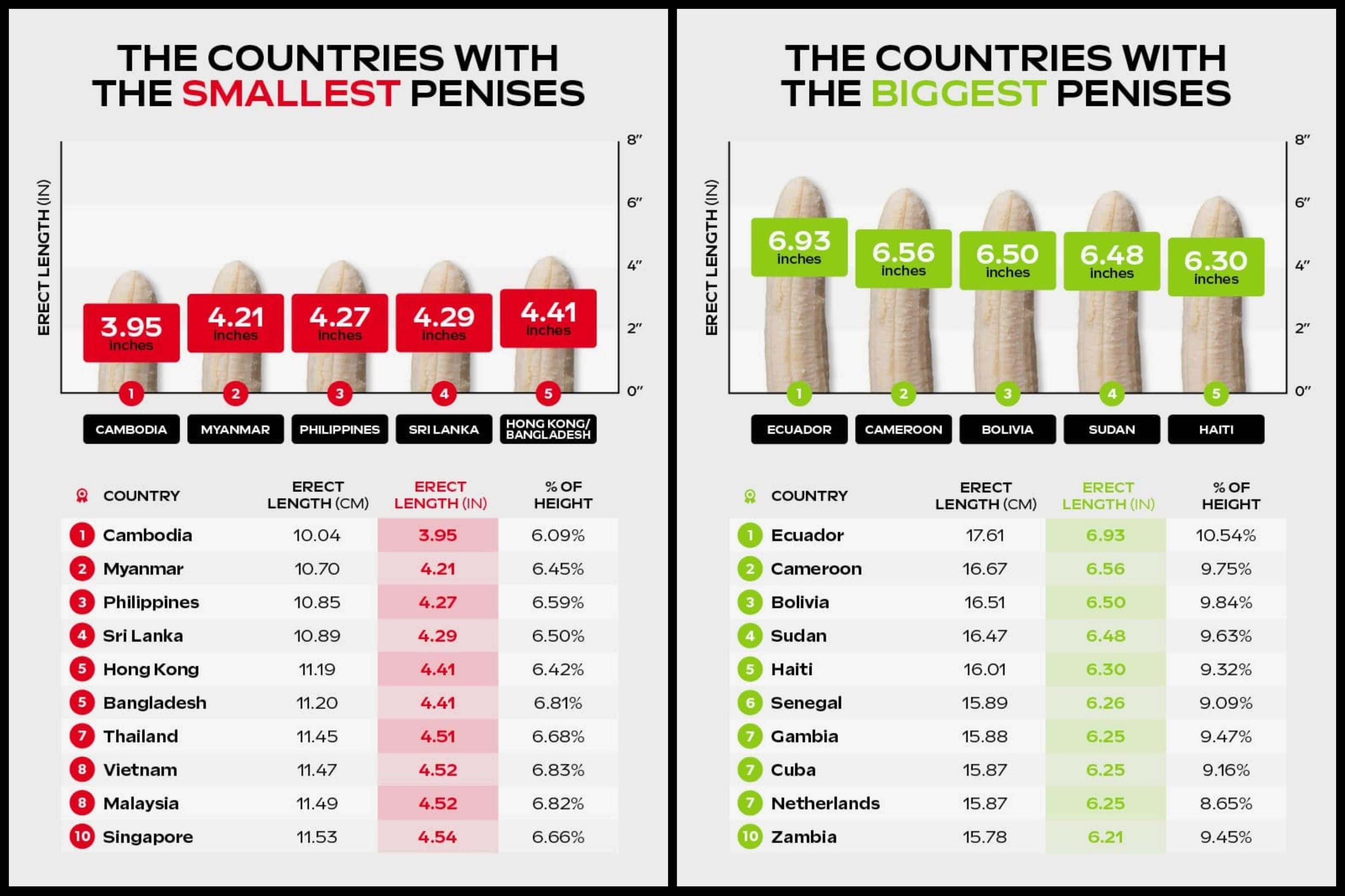 Countries by Penis Size