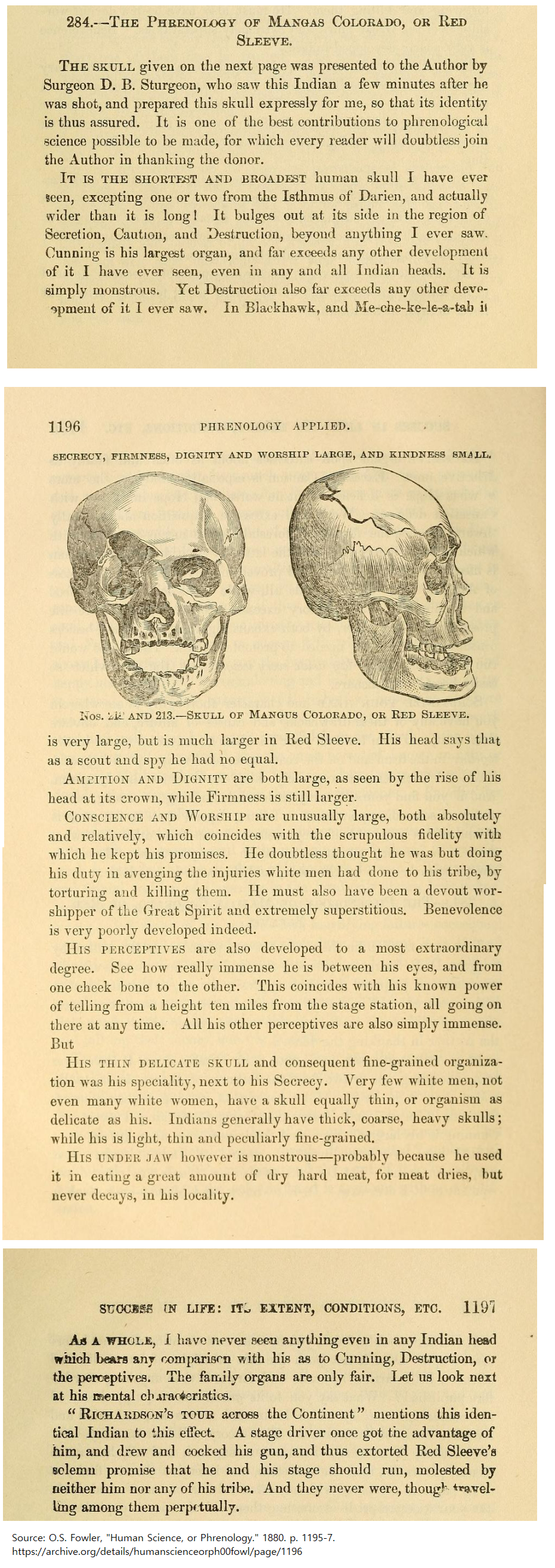 pages of phrenology book