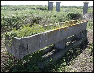 Tormented Alderney: archaeological investigations of the Nazi labour and concentration camp of Sylt | Antiquity | Cambridge Core