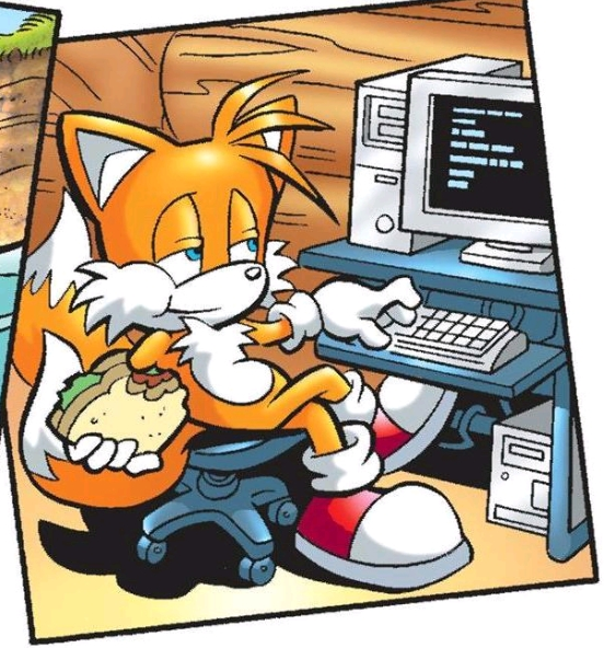 Tails on the computer