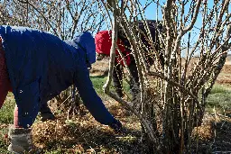 First farmworker union forms in New York state