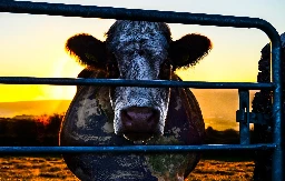 COWSPIRACY: The Sustainability Secret