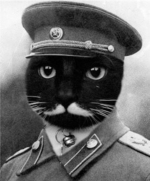Stalin cat