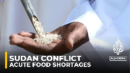 UN warns of ‘catastrophic’ hunger crisis looming in Sudan