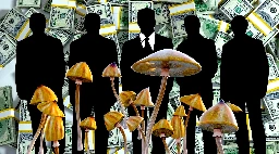 ‘Psychedelic Renaissance’ Entirely About Corporate Greed