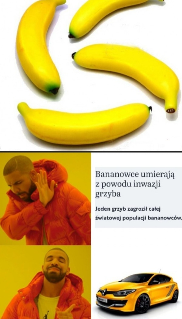 I od razu mi jakoś lepiej