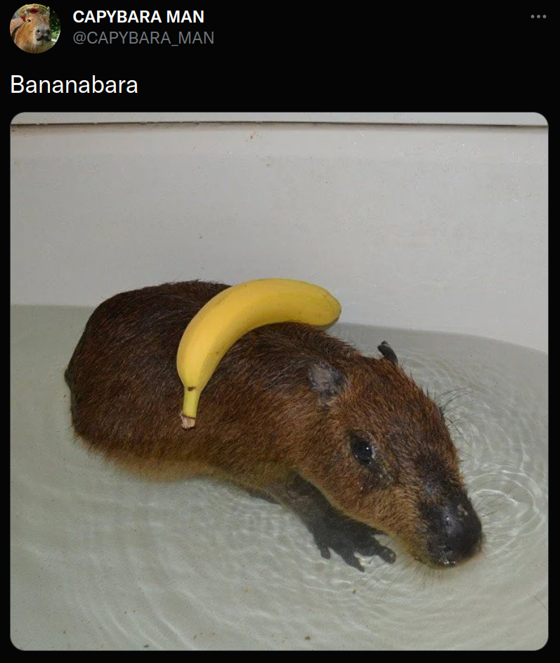 Bananabara