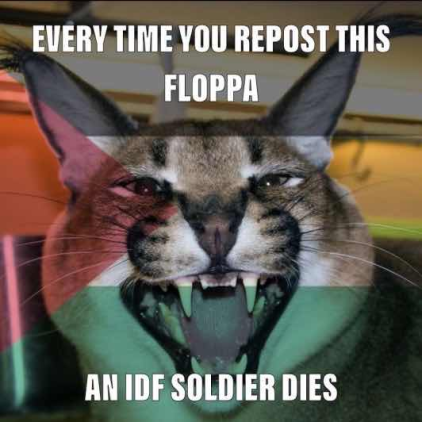 Every time you repost this floppa, an IDF soldier dies