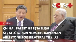 China, Palestine Establish Strategic Partnership, Important Milestone for Bilateral Ties: Xi