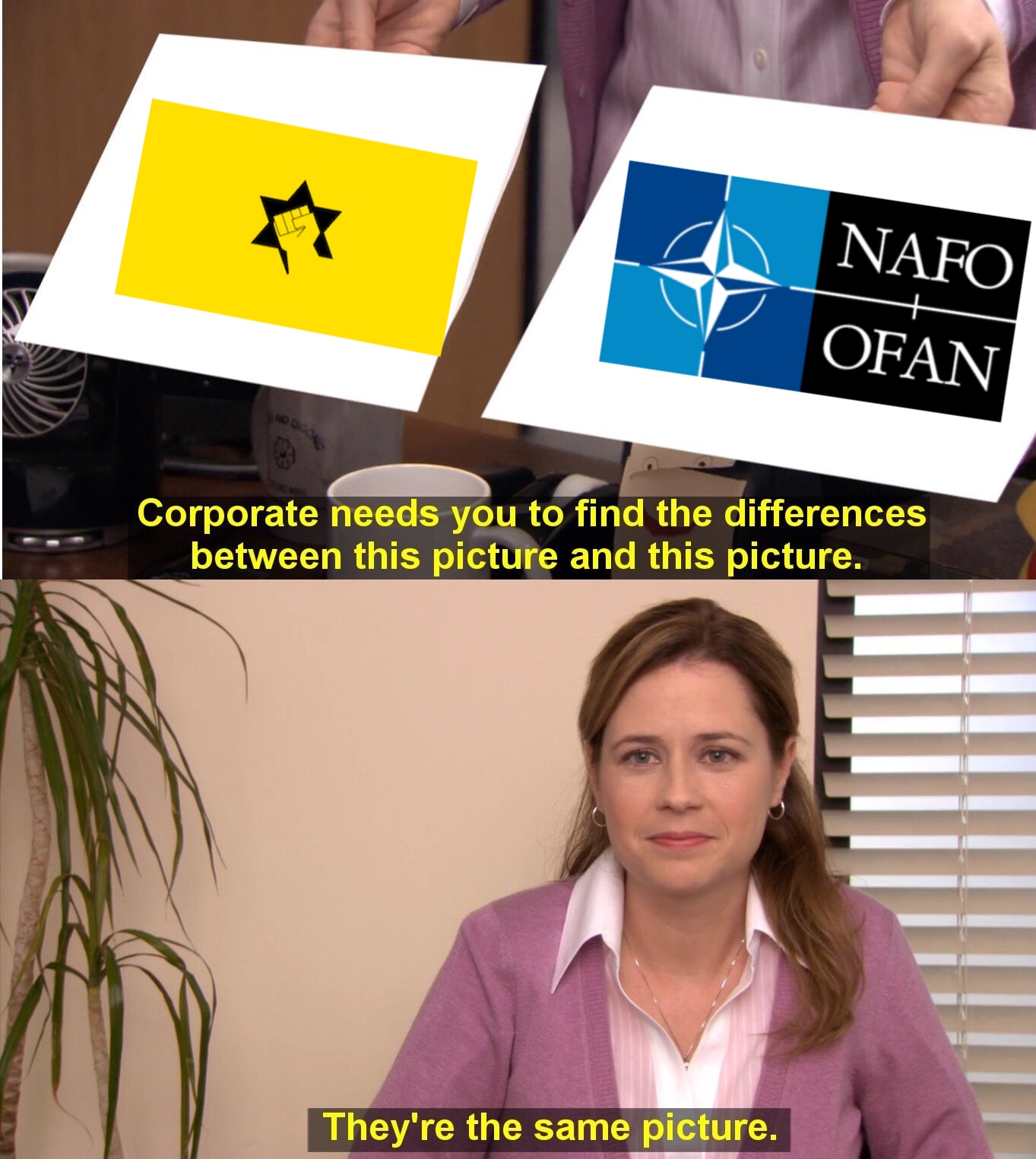 IDL flag  NAFO flag: They’re the same picture.