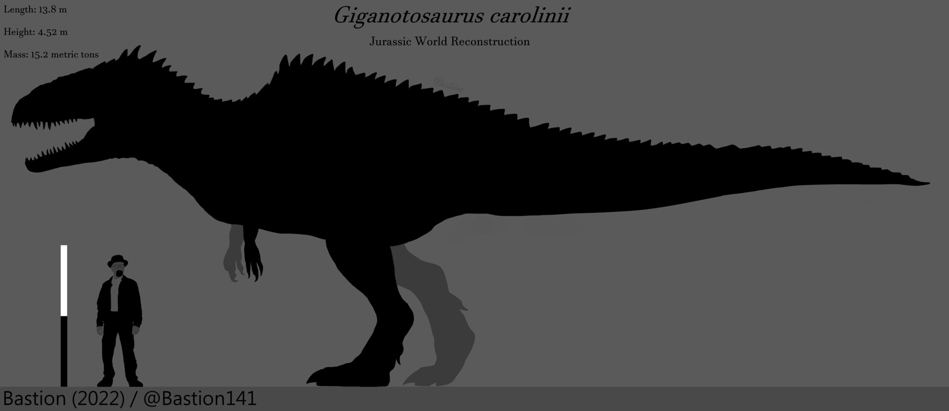 Giganotosaurus size comparison